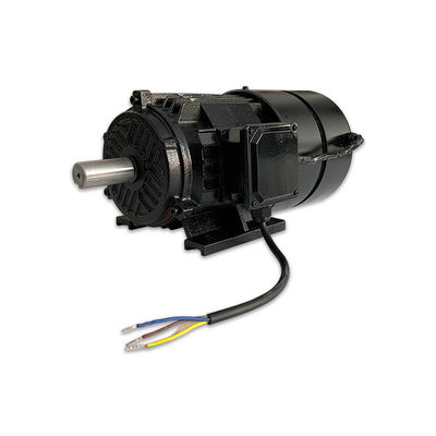 100 To 200Hz Permanent Magnet Synchronous Motor Perpetual Magnetic Motor 380V
